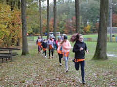 Finał Wojewódzkich Igrzyska Dzieci w sztafetowych biegach przełajowych (3)